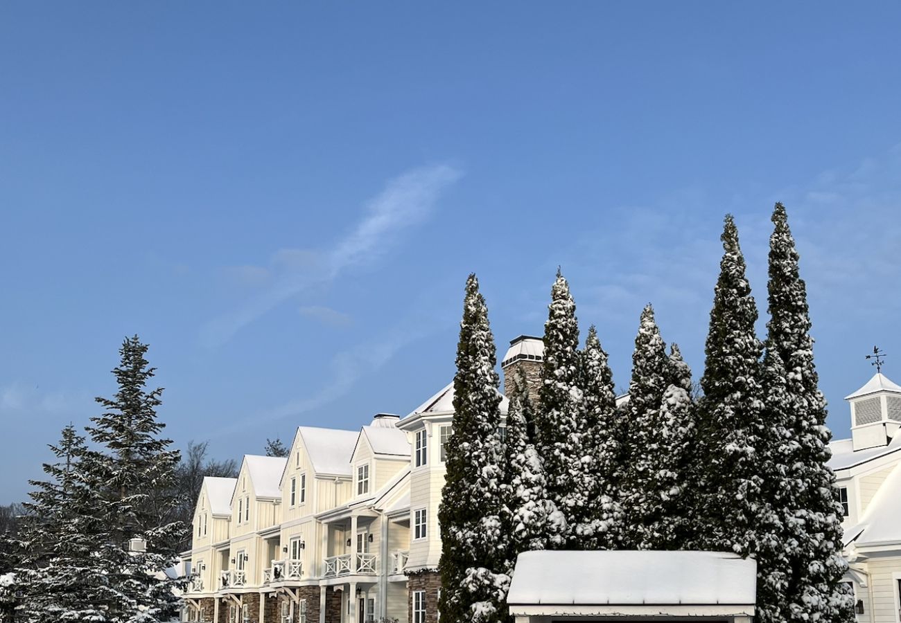 Holland Winter Beach House