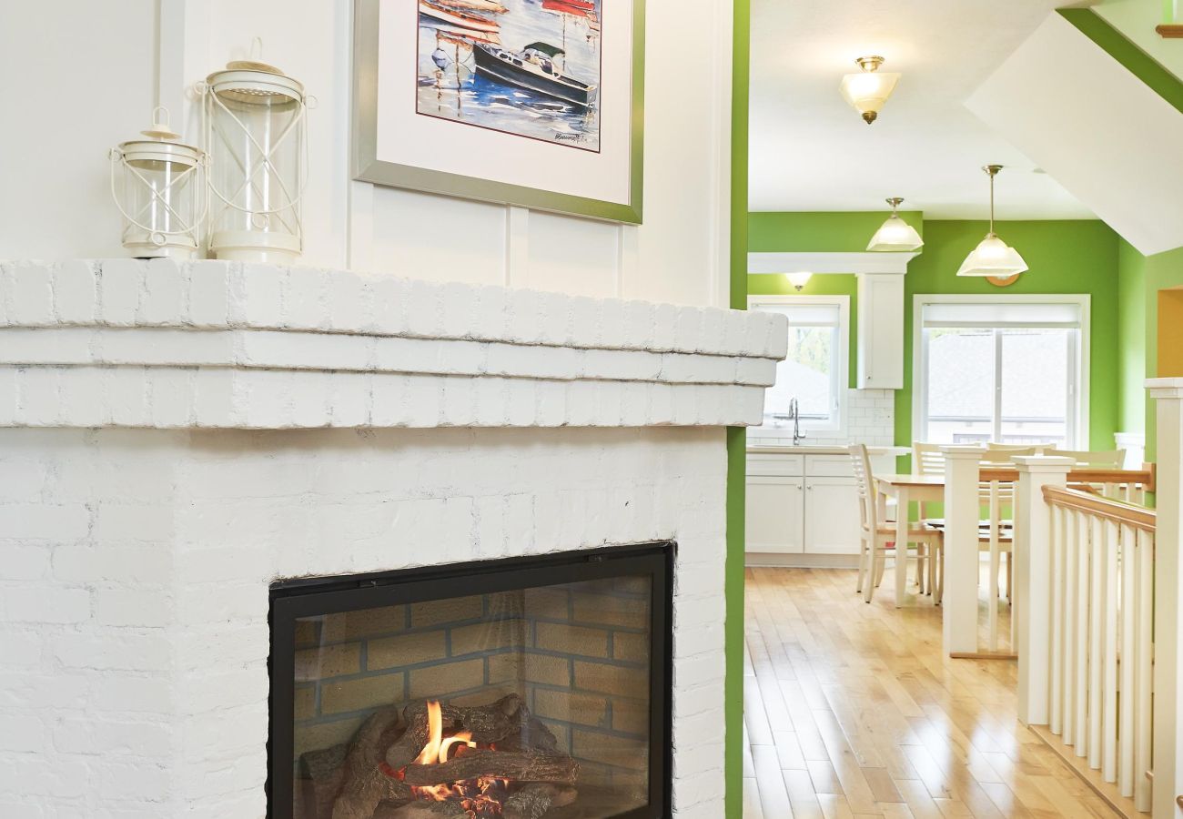 Townhouse in Holland - 