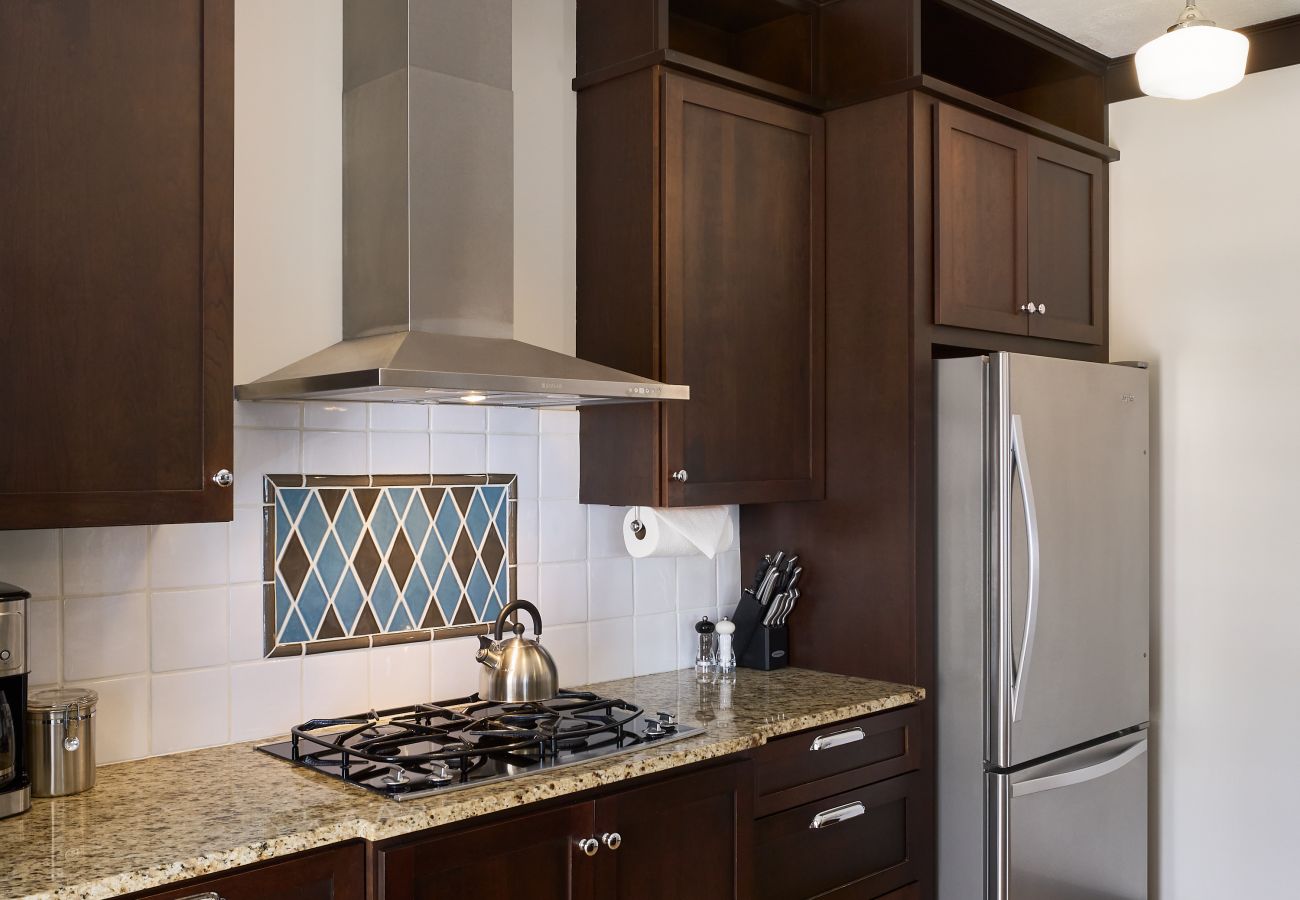 Townhouse in Holland - 