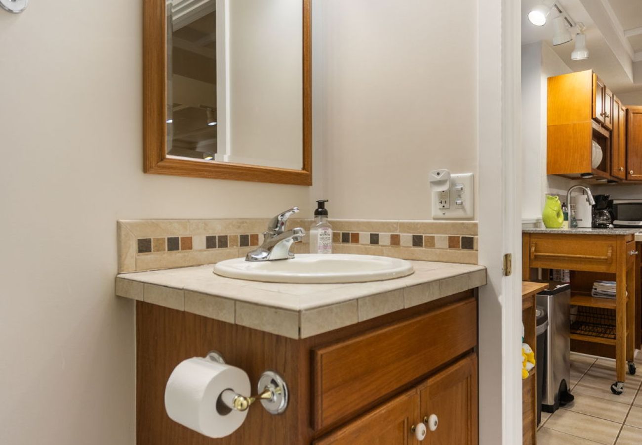 House in Douglas - Close to Beaches, Downtown Douglas, & Saugatuck! - Lower Coastal Carriage House