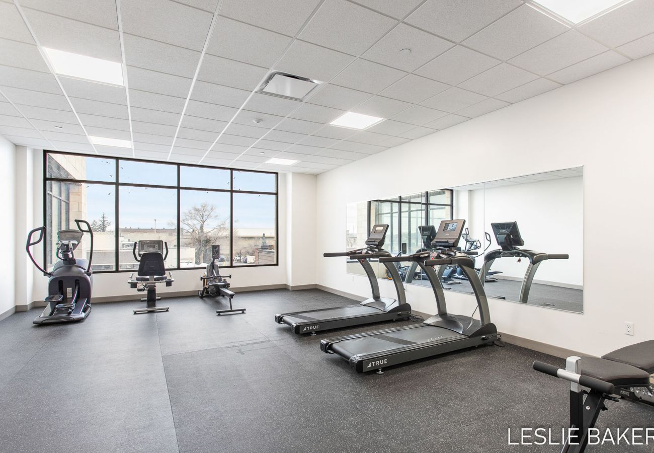 Condominium in Holland - Lux Winter Retreat: Downtown Condo near Hope 