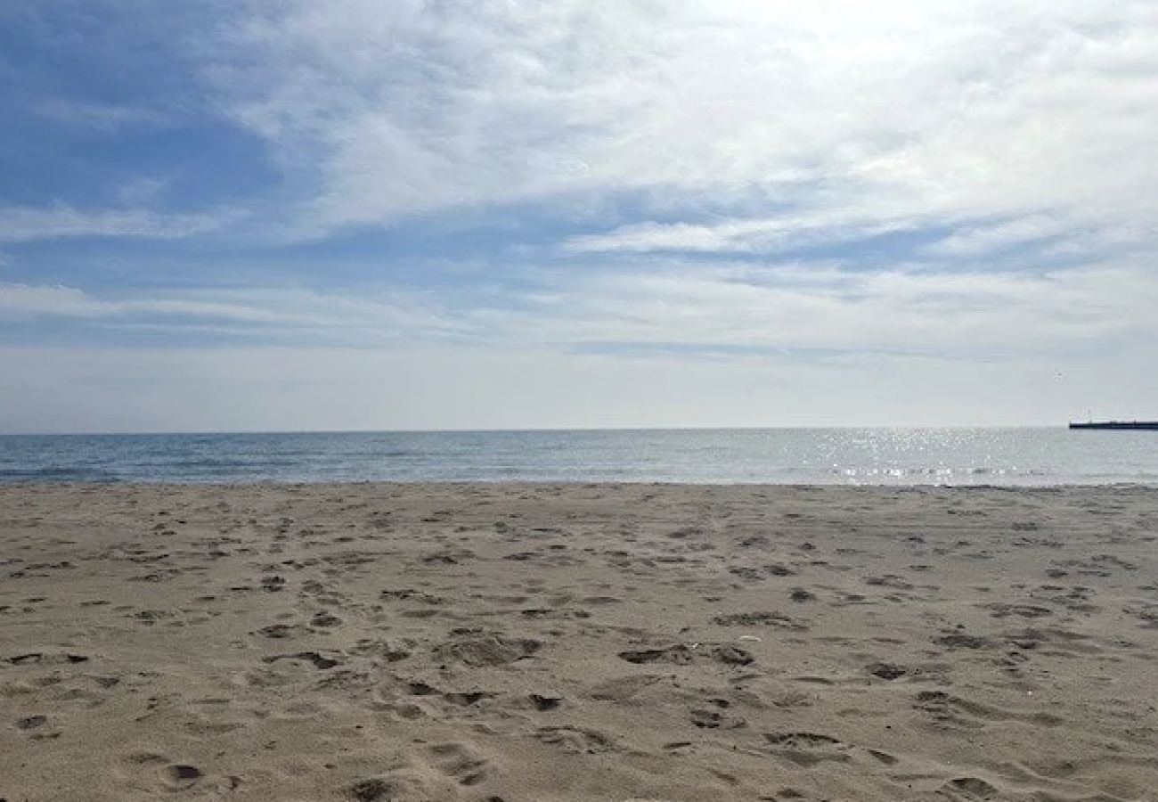 House in West Olive - Drift Away Cottage - Private Beach Access - Tennis - Near Lake MI